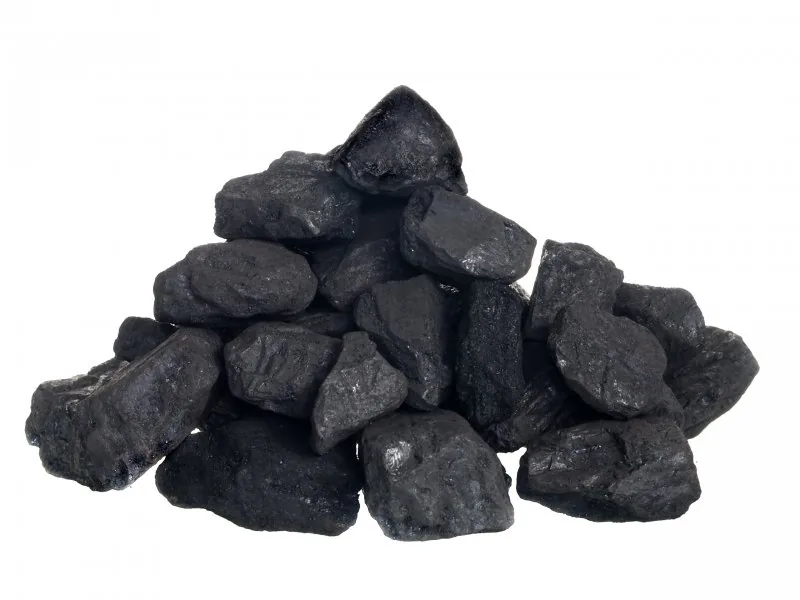 Coal sorting cases