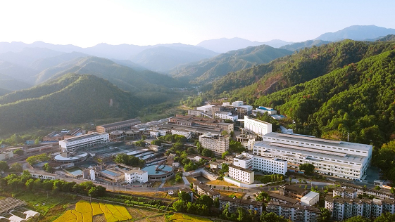 Lead-zinc process refinery case
