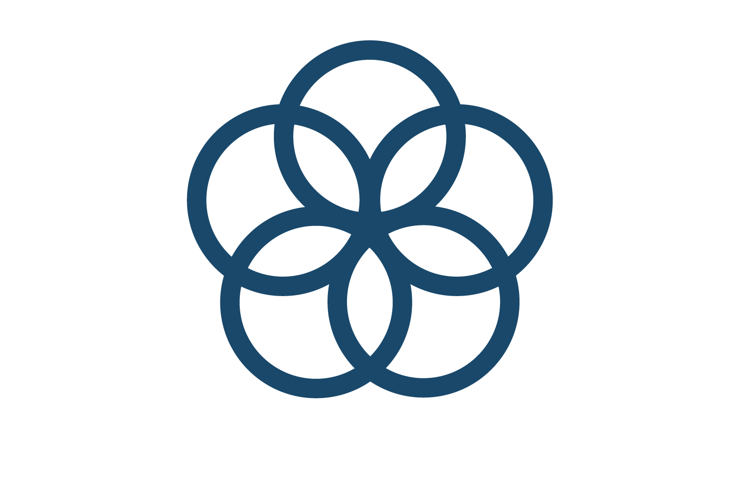 UN SDG Goal 17 icon